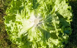 Aveleda / Авеледа