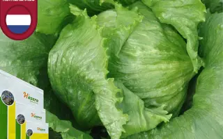 Aviram / Авірам