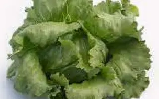 ICE CIRCLE / АЙС СІРКЛ