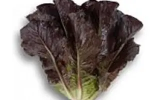 Alboreto / Алборето