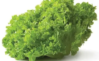 Brietta / Бріетта