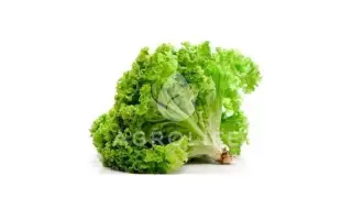 Herkules / Геркулес