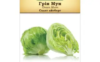 Green moon / Грін мун