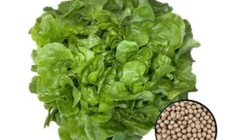 Дублянський