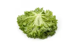 Expedition / Експедішн