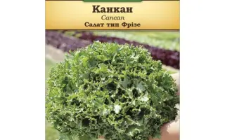 Cancan / Канкан