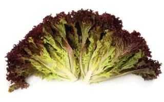 Carmesi / Кармесі