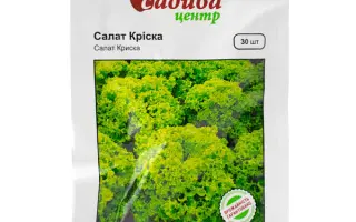 Kriska / Кріска