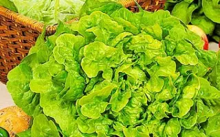 Крутянський