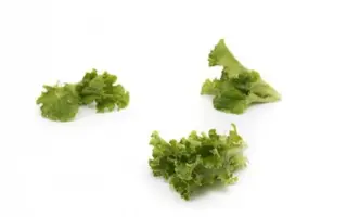 Coulthard / Култхард