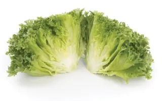 Lalique / Лалік