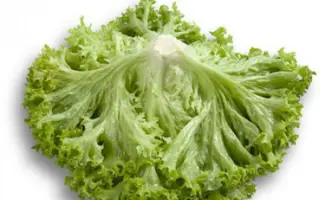 Levistro / Левістро