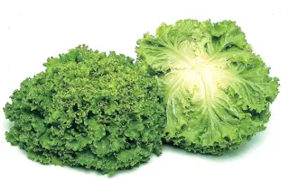 Funly F1 / Фанлі F1