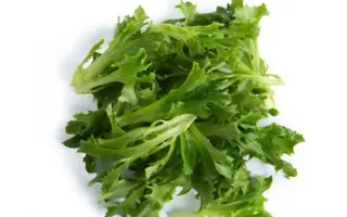 Chapman / Чепмен