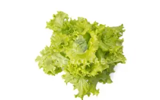 Aphylion / Афіліон