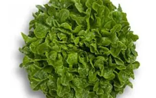 Humboldt / Гумбольдт