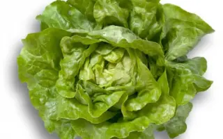 Jiska / Джиска