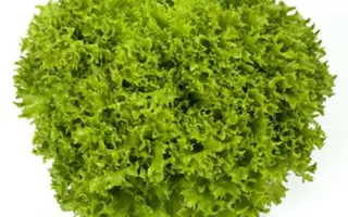 Explore / Експлор