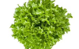 Extemp / Екстемп