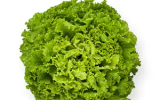 Imagination / Імеджінейшн