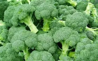 Kaftan / Кафтан