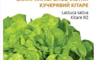 Kitare / Кітаре