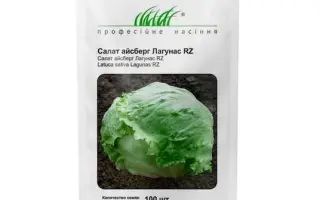 Lagunas / Лагунас