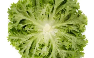 Lisboa / Лісбоа