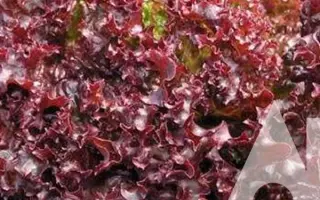 Luberon / Луберон