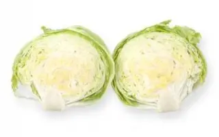 Silvinas / Сільвінас