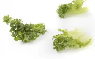 Tambay / Тамбей