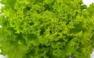 Freesol / Фрізол