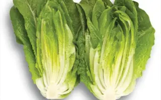 Kilnsey / Кілнсей