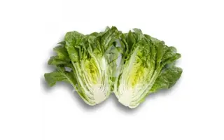 Claudius / Клаудіус