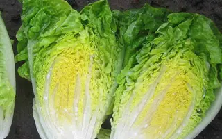 Xamena / Ксамена