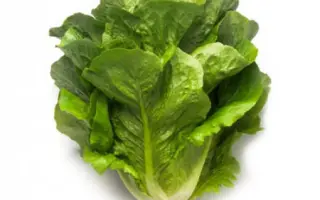 Maximus / Максимус