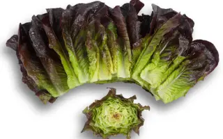 Thurinus / Турінус