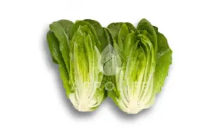 Auvona / Айвона