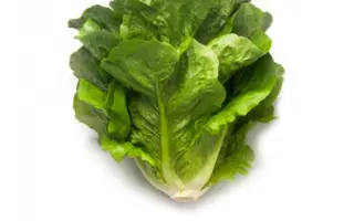 Armilla / Армілья