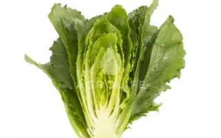 Verodita / Веродіта