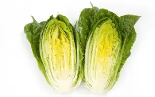 Quintus / Квінтус