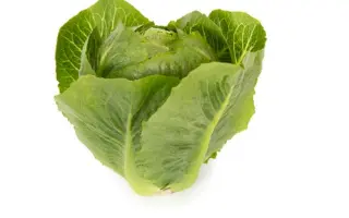 Tendita / Тендіта