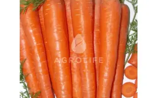 Ablixo F1 PS / Абликсо F1