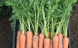 Berlin / Берлін