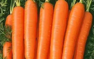 Bolero / Болєро