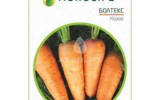 Boltex / Болтекс