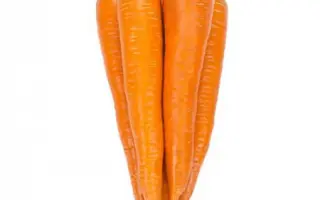 Warmia / Вармія