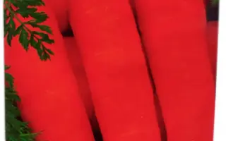 Gollandka / Голландка