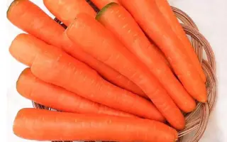 Длінная красная