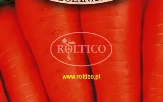 Dolanka / Долянка